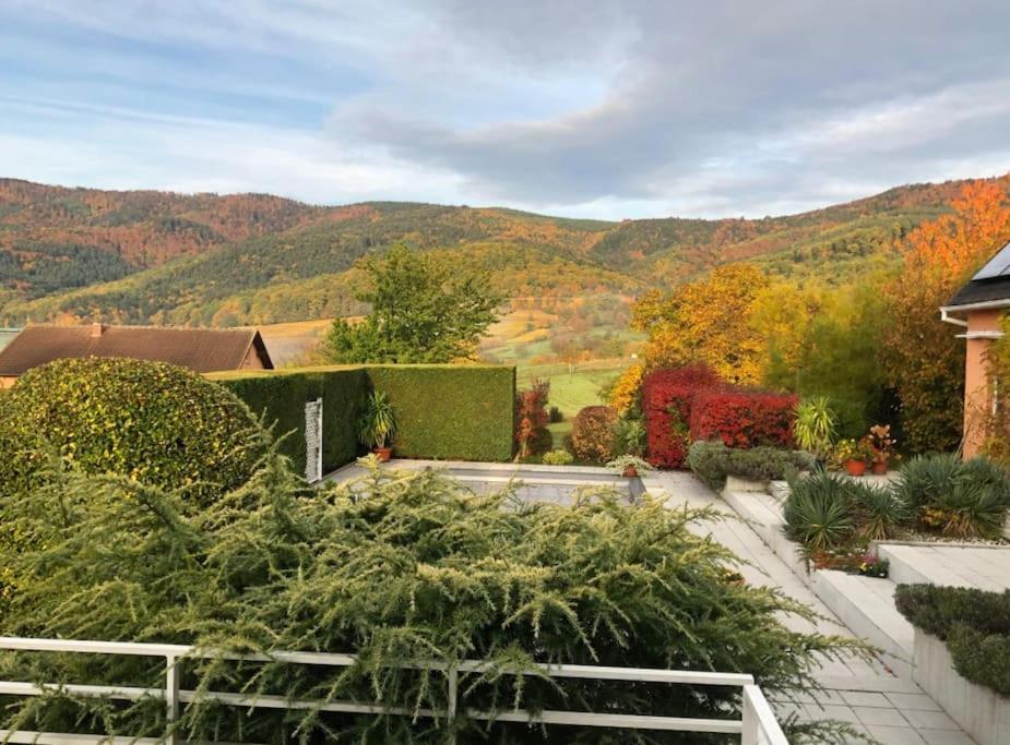 Logement De Charme Au Coeur De La Nature Osenbach Exterior photo